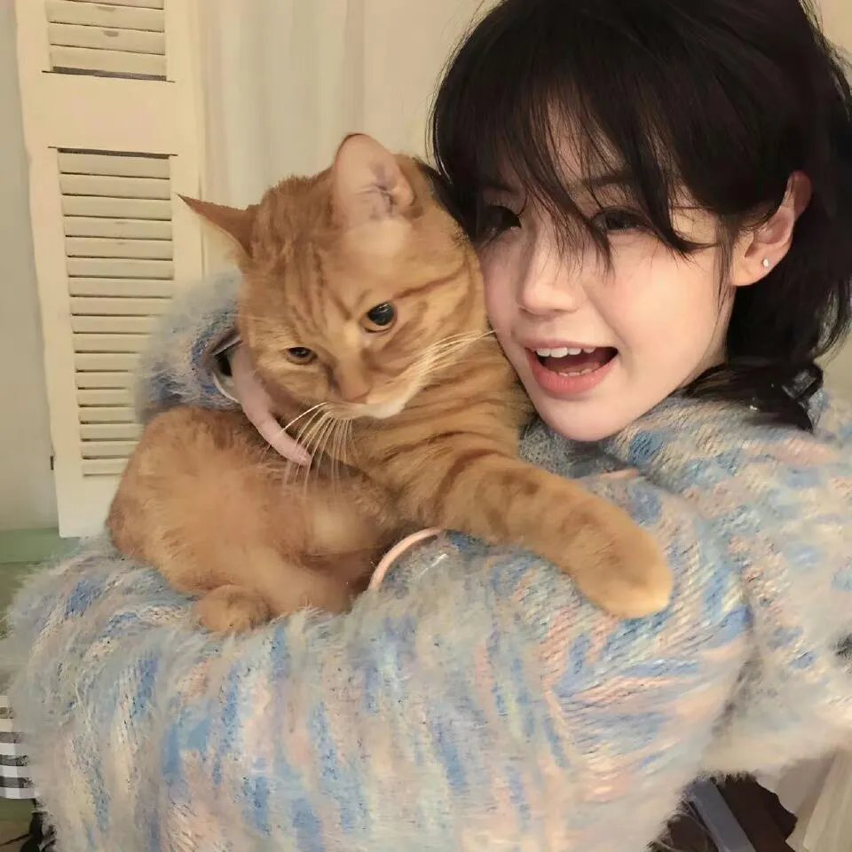 类人猿行动